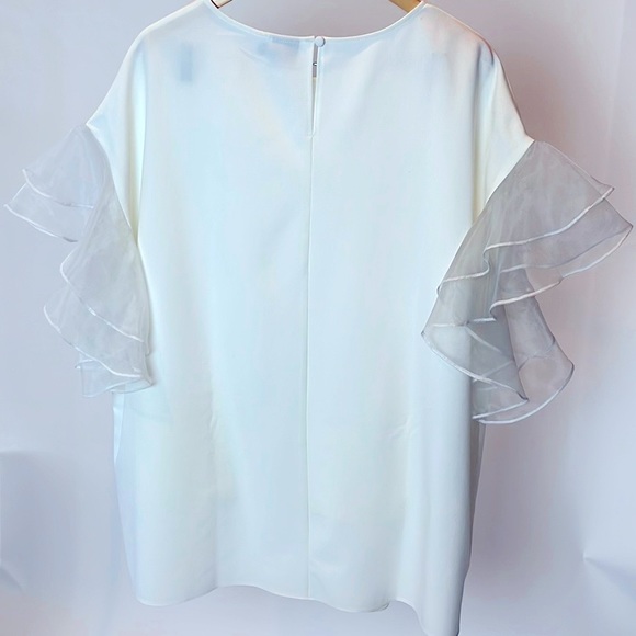 Ruffle Sleeve Tunic - Picture 2 of 4